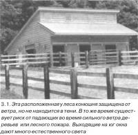 3.1. Эта расположенная у леса конюшня защищена от ветра, но не находится в тени