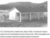 4.2. Конюшня с навесом: ряд стойл, которые открываются на свободное пространство