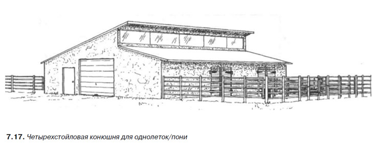 Схема конюшни. Планировка конюшни на 20 голов. Конюшни Манташева чертежи. План конюшни на 3 головы. Конюшня нормы проектирования.