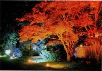 Цветное освещение Боуден-сквера в Саутхэмптоне, Нью-Йорк