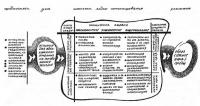 Последовательность разработки проектного решения в средовом дизайне