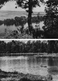 Природа подмосковья