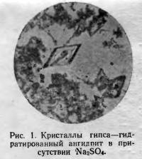 Рис. 1. Гидратированный ангидрит в присутствии Na<sub>2</sub>SO<sub>4</sub>