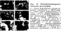 Рис. 10. Электронно-микроскопические фотографии