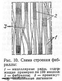 Рис. 10. Схема строения фибриллы