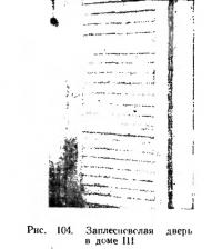 Рис. 104. Заплесневелая дверь в доме III