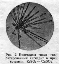 Рис. 2. Гидратированный ангидрит в присутствии K2SO4