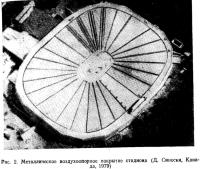 Рис. 2. Металлическое воздухоопорное покрытие стадиона