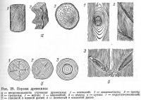 Рис. 29. Пороки древесины