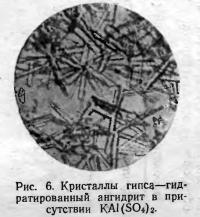 Рис. 6. Гидратированный ангидрит в присутствии KAl(SO<sub>4</sub>)<sub>2</sub>