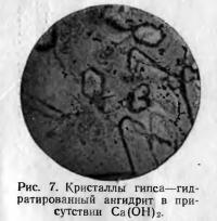 Рис. 7. Гидратированный ангидрит в присутствии Са(ОН)<sub>2</sub>