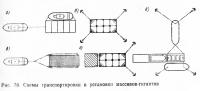 Рис. 78. Схемы транспортировки и установки массивов-гигантов